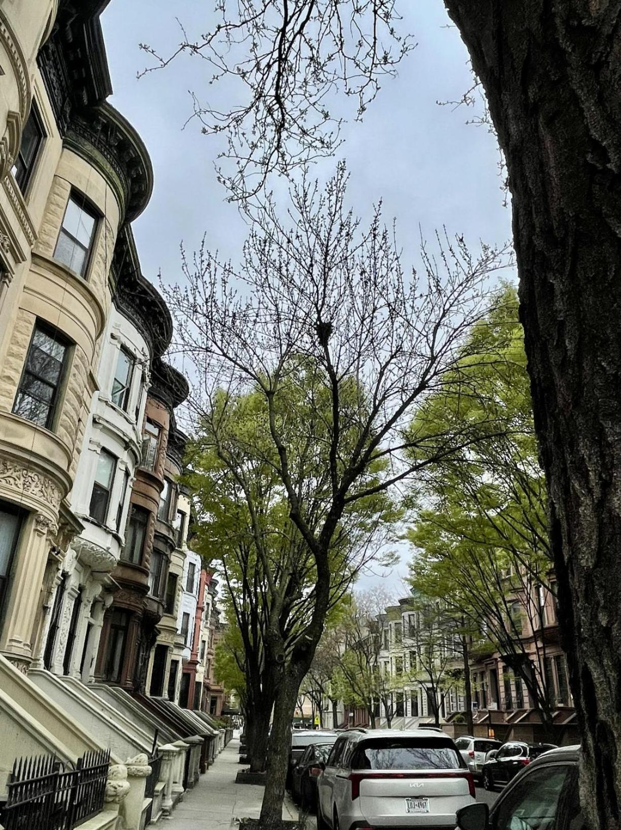 Nyc Townhouse Apartment New York Dış mekan fotoğraf